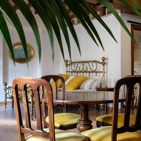 Lemon Tree Boutique Guest House 토티 외부 사진