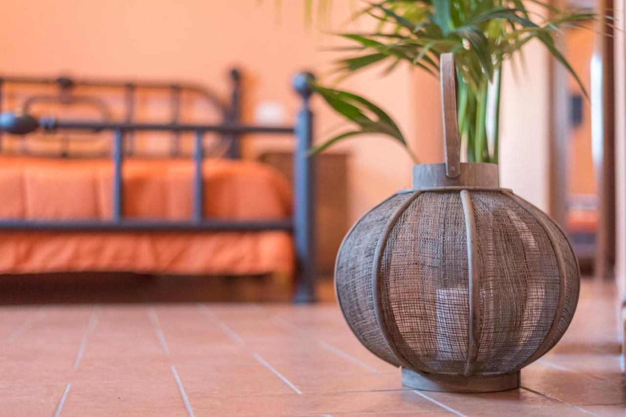 Lemon Tree Boutique Guest House 토티 외부 사진