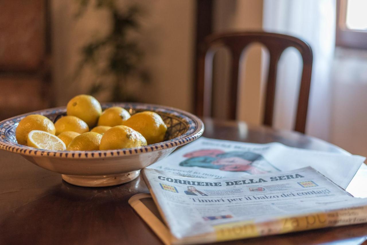 Lemon Tree Boutique Guest House 토티 외부 사진