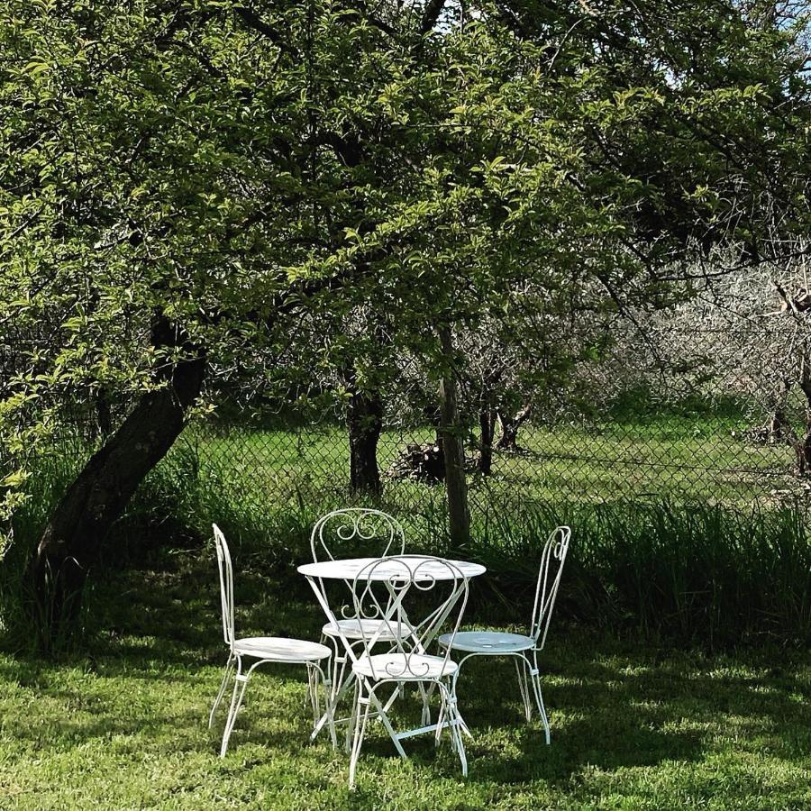 Lemon Tree Boutique Guest House 토티 외부 사진